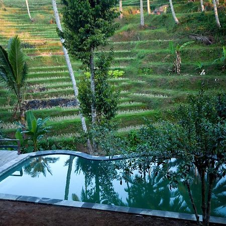 Be Bali Stay Ubud Esterno foto
