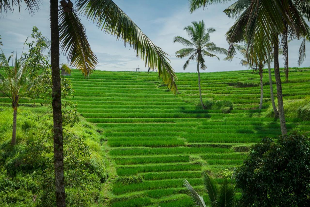 Be Bali Stay Ubud Esterno foto