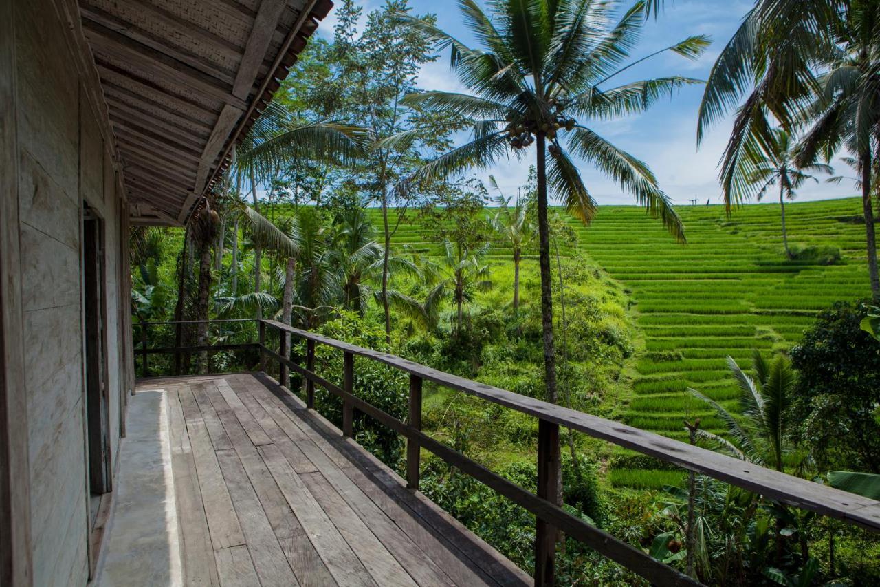 Be Bali Stay Ubud Esterno foto
