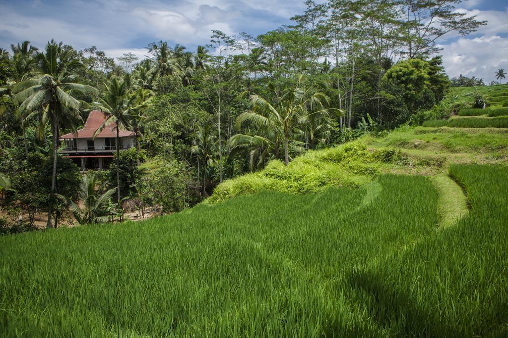 Be Bali Stay Ubud Esterno foto